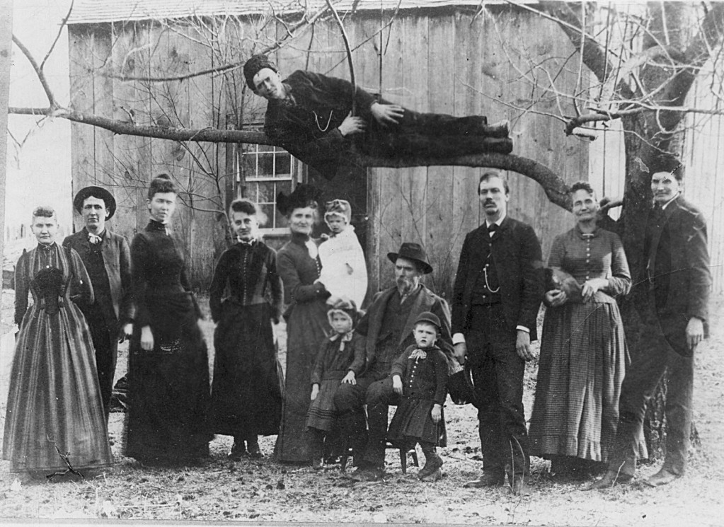 family tree